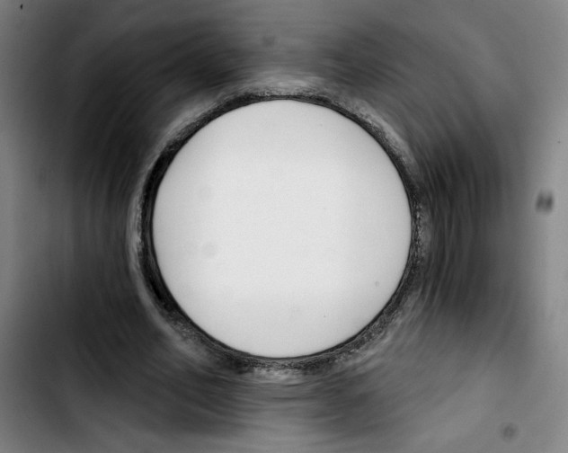 X0000103420582200810241036