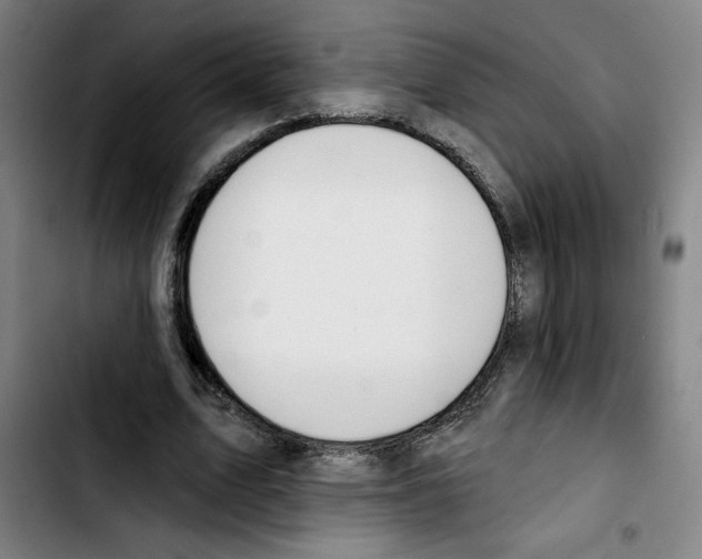 X0000103420583200810241036