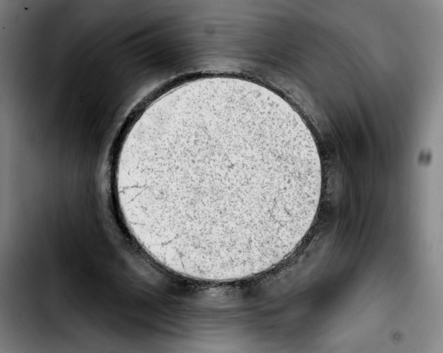 X0000103420584200810241036