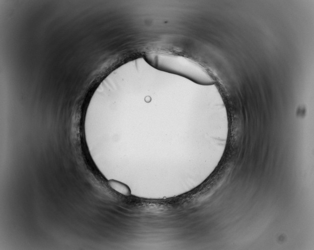 X0000103420585200810241036