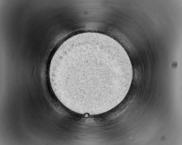 X0000103420588200810241036