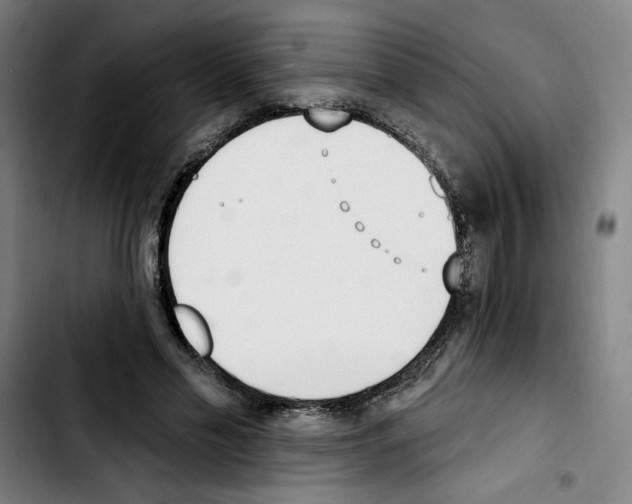 X0000103420589200810241036