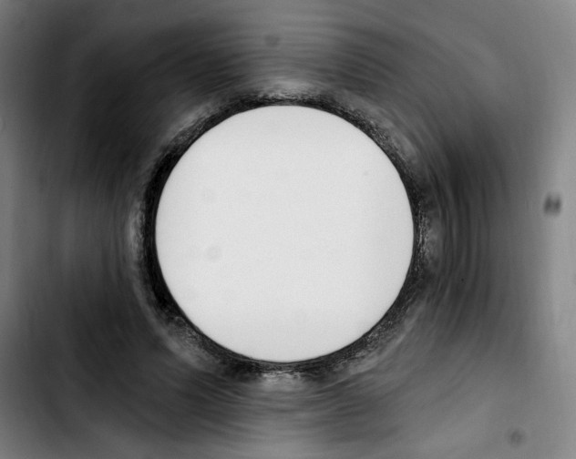 X0000103420591200810241036