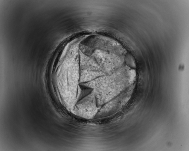 X0000103420592200810241036