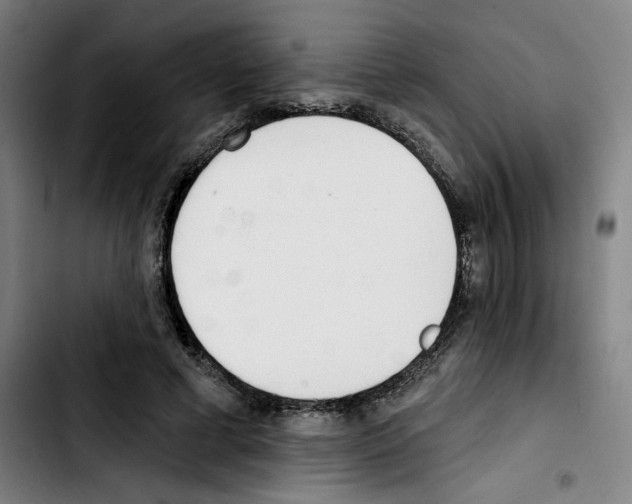X0000103420593200810241036