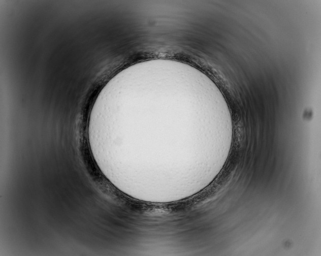 X0000103420594200810241036