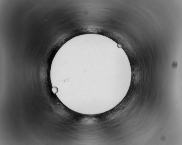 X0000103420595200810241036