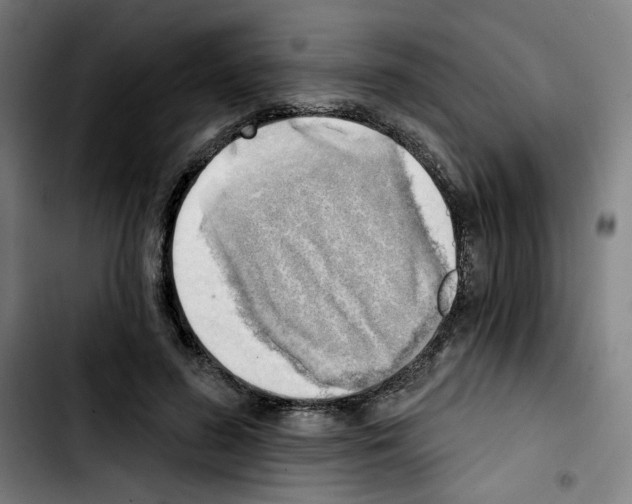 X0000103420596200810241036
