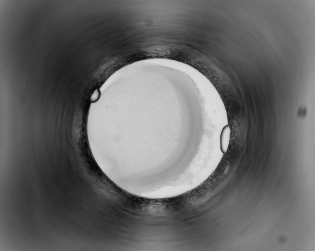 X0000103420600200810241036