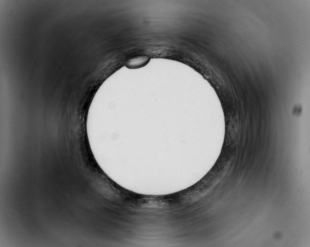 X0000103420601200810241036