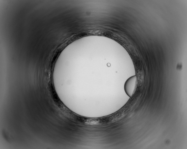 X0000103420602200810241036