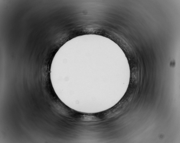 X0000103420605200810241036