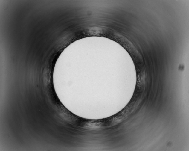 X0000103420606200810241036