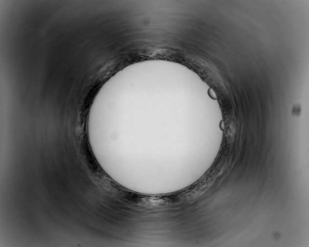 X0000103420607200810241036