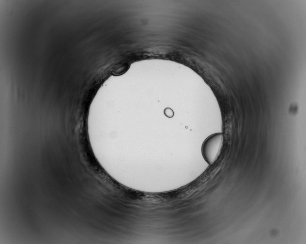 X0000103420608200810241036