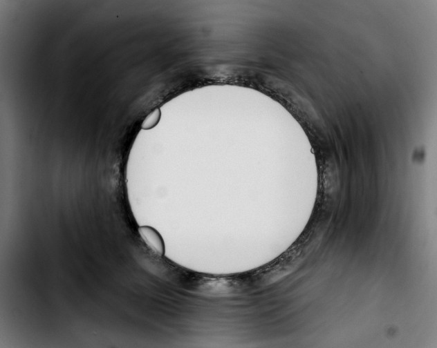 X0000103420611200810241036