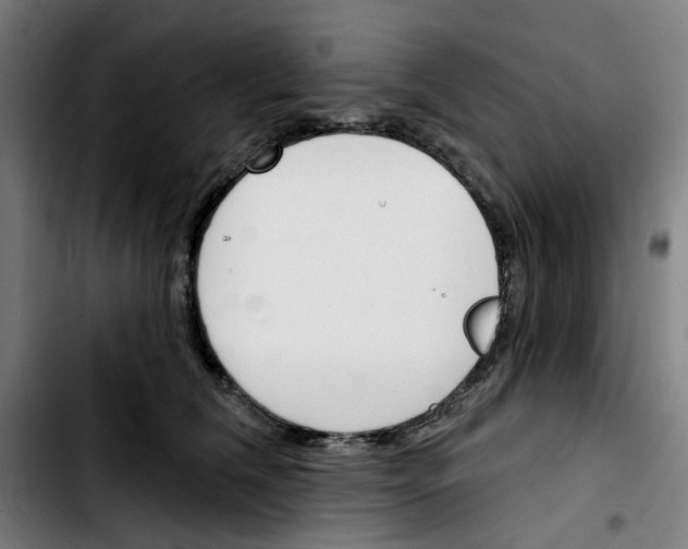 X0000103420612200810241036