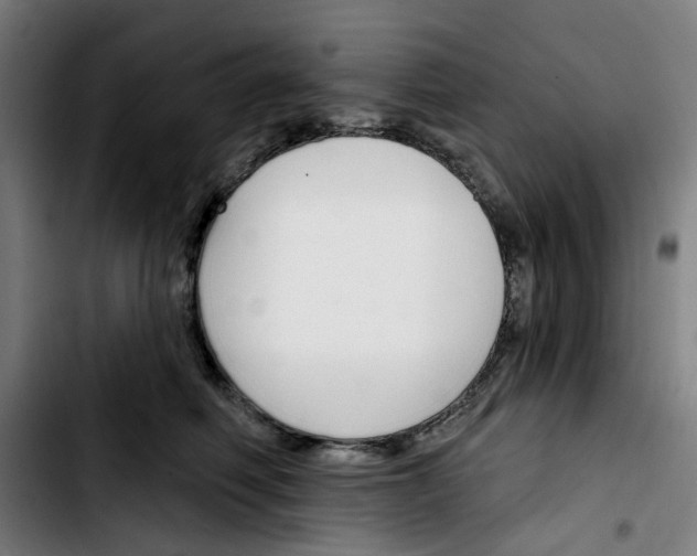 X0000103420614200810241036
