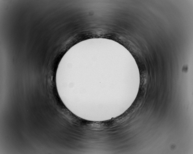 X0000103420615200810241036