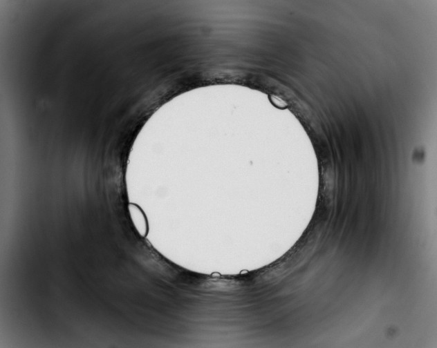 X0000103420617200810241036