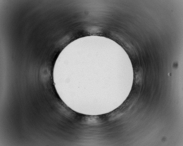 X0000103420618200810241036