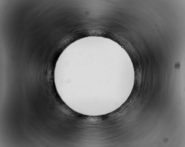 X0000103420619200810241036