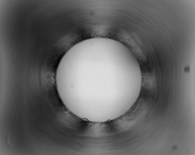 X0000103420621200810241036