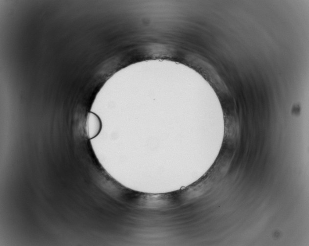 X0000103420622200810241036