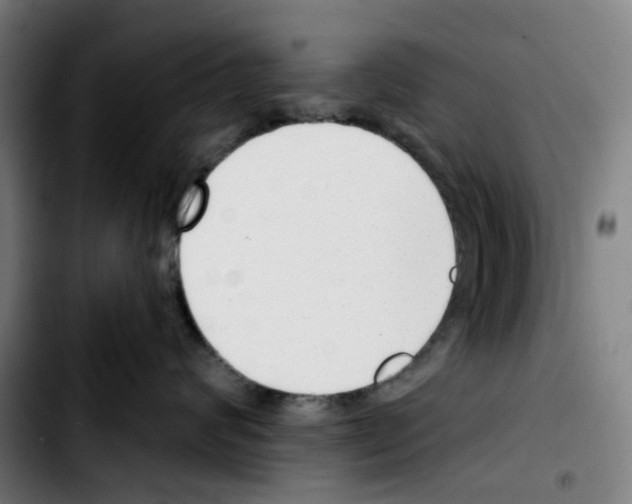 X0000103420624200810241036
