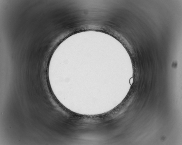 X0000103420625200810241035