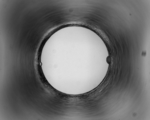 X0000103420628200810241035
