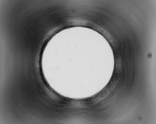 X0000103420629200810241035