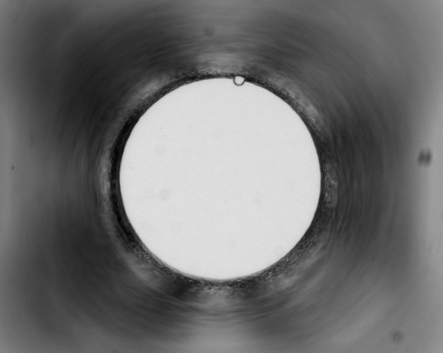 X0000103420631200810241035