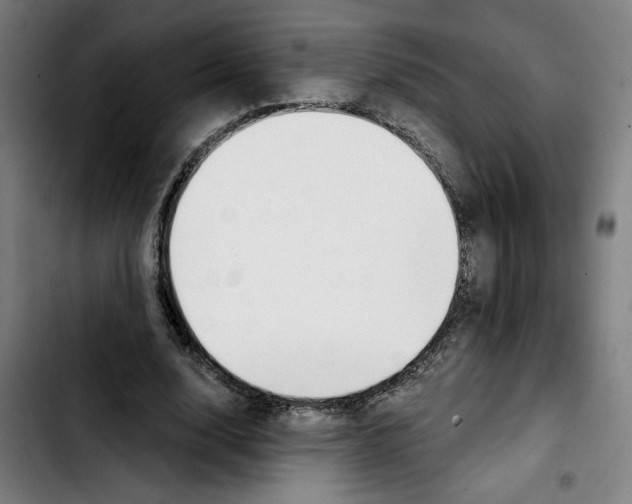X0000103420632200810241035