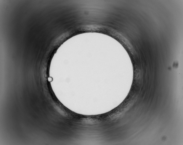X0000103420633200810241035