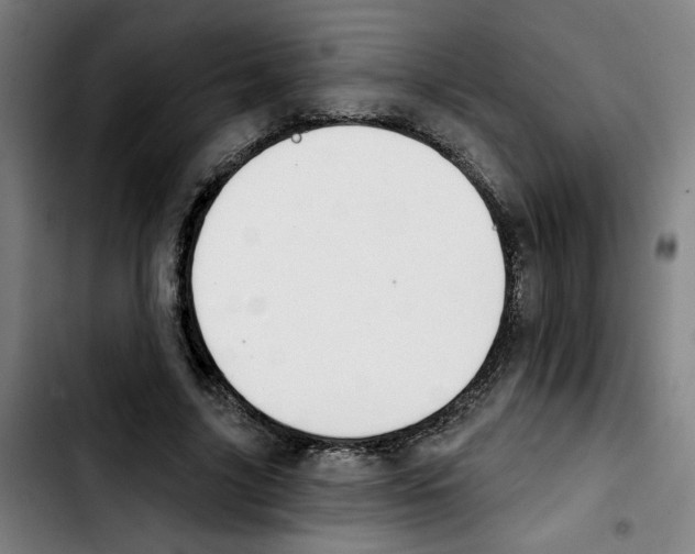 X0000103420635200810241035