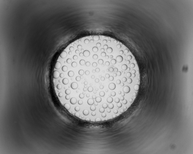 X0000103420638200810241035