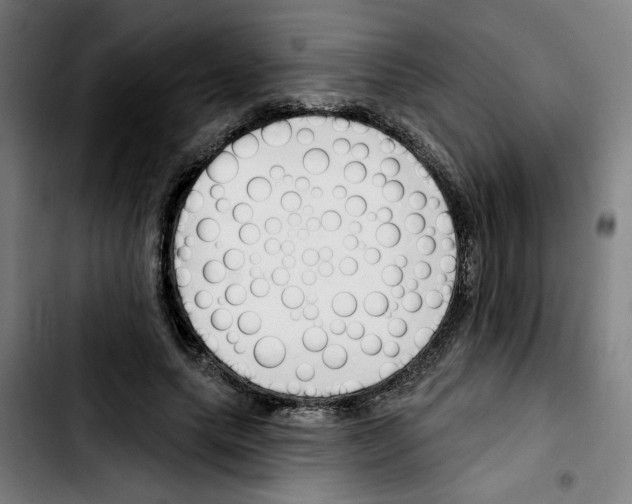 X0000103420639200810241035