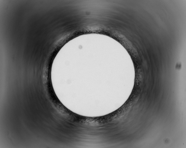 X0000103420640200810241035