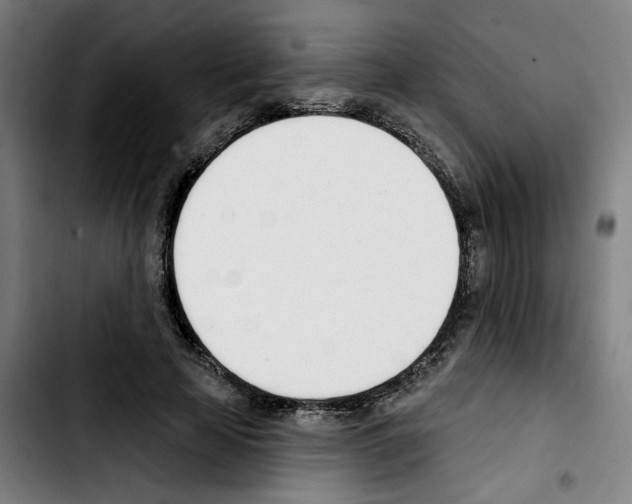 X0000103420641200810241035