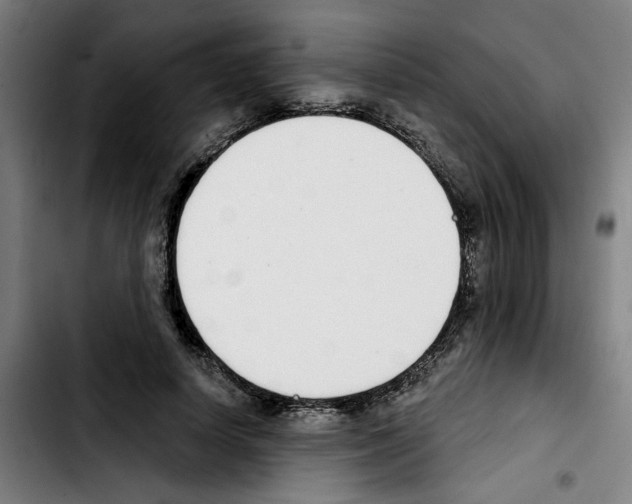X0000103420642200810241035