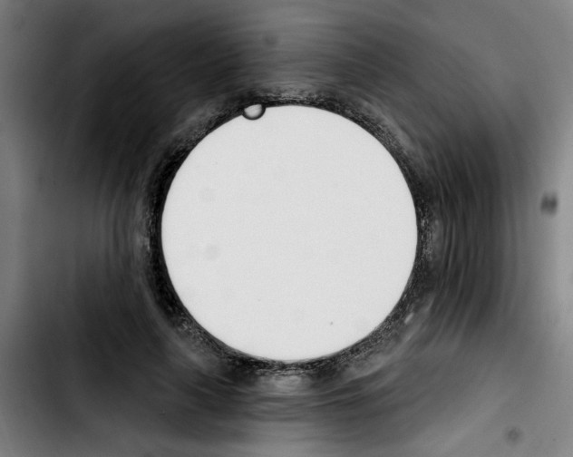 X0000103420643200810241035