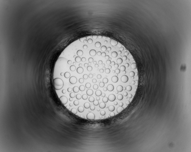 X0000103420646200810241035