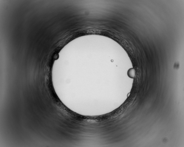X0000103420649200810241035