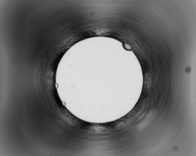 X0000103420650200810241035