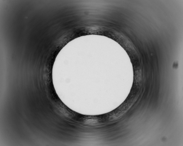 X0000103420653200810241035