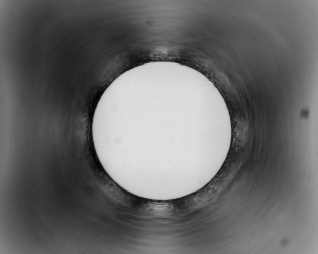 X0000103420659200810241035
