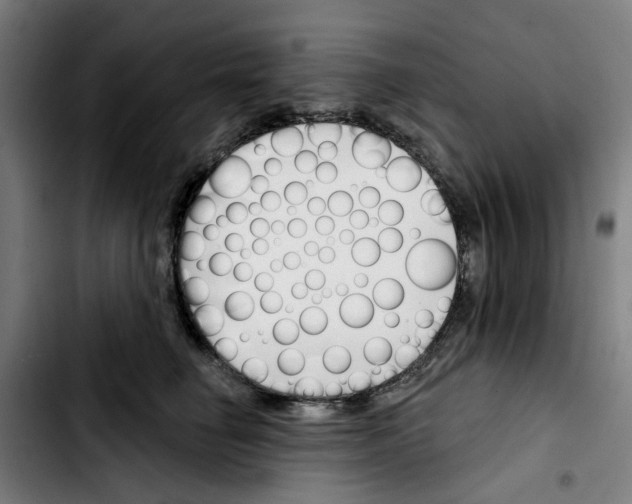 X0000103420662200810241035