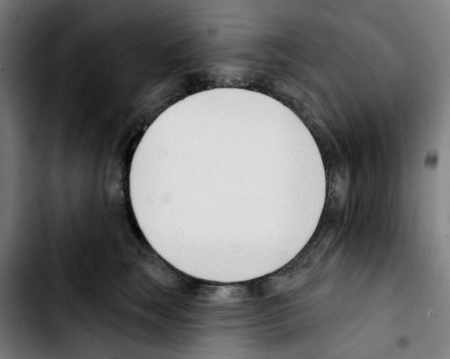 X0000103420663200810241035