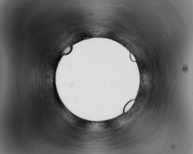 X0000103420664200810241035